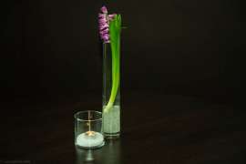 Food_Thomas Sampl_-5330