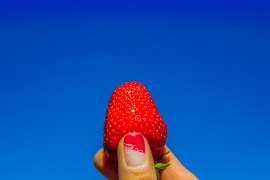 Stilleben Erdbeere Blue Sky