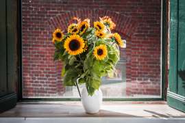 Stilleben Blumenvase Strauss Sonnenblumen