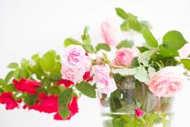 SomePro Stilleben Blumenstrauss Rosen